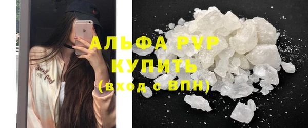 индика Арсеньев