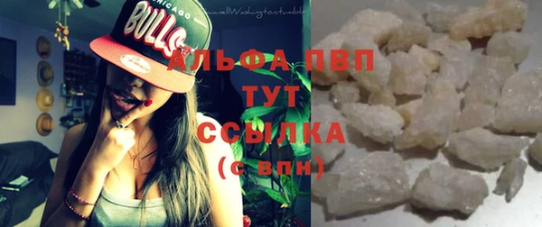 индика Арсеньев