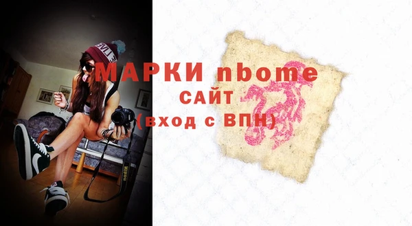 индика Арсеньев