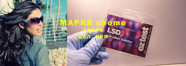 индика Арсеньев