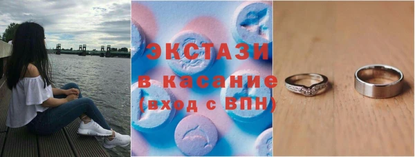 индика Арсеньев