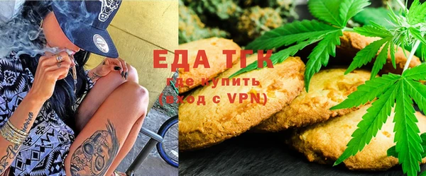 индика Арсеньев