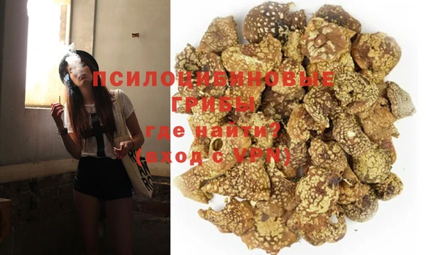 индика Арсеньев