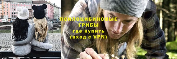 индика Арсеньев
