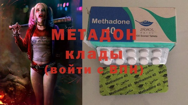индика Арсеньев