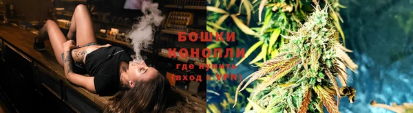 индика Арсеньев